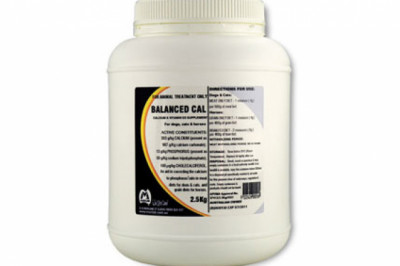 Buy Balanced Cal Powder for Dogs Online - DiscountPetCare