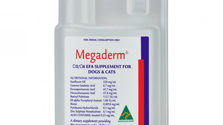 Buy Megaderm Supplement for Dogs & Cats Online - DiscountPetCare