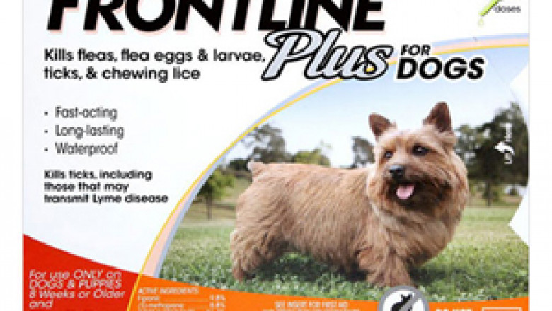 Frontline plus for small dogs | Flea and tick treatment