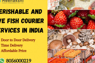 Get our live fish cargo service in India and perishable air cargo forwarders in India.