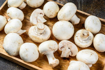THE BENEFITS OF MUSHROOMS FOR SKINCARE