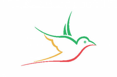 Freelance Web Designer - Top Website Design Services