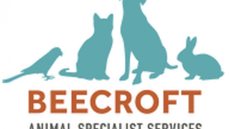 Surgical Veterinary Specialists & Animal clinic services in Singapore