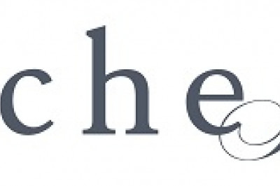Swarovski Crystals - Buy Swarovski crystal online at Nichejewellery