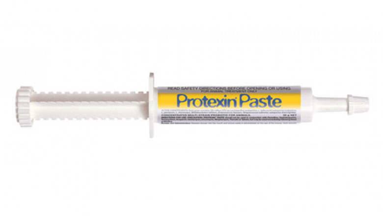 Buy Protexin Paste For Pets Online - DiscountPetCare