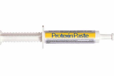 Buy Protexin Paste For Pets Online - DiscountPetCare