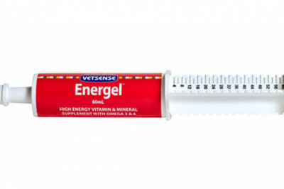 Buy Vetsense Energel For Dogs & Cats Online - DiscountPetCare