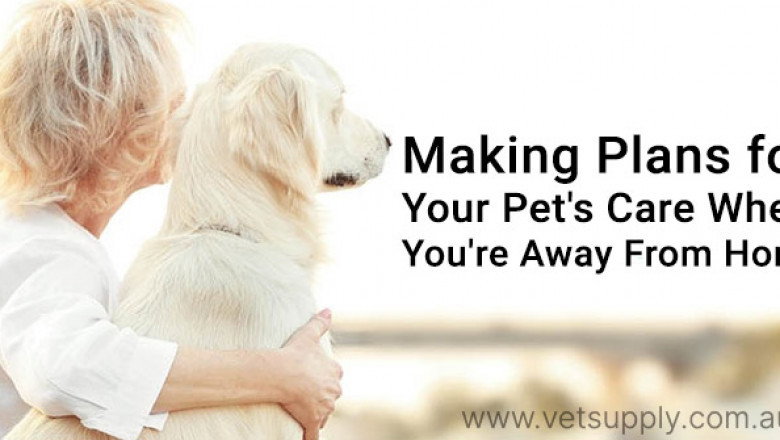 How to take care of your pet when you work full time