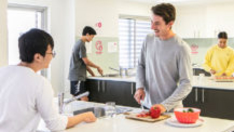 NSW Trips Outside Sydney That Students Should Make