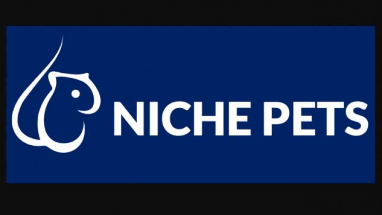 All You need to know About Exotic Pets