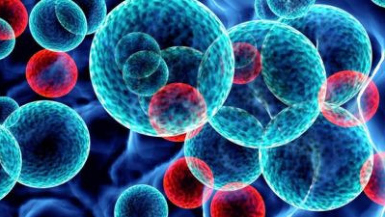 Global Nanoparticles Market Size, Share, Outlook, and Opportunity Analysis, 2018– 2026