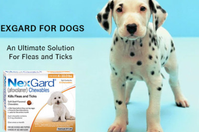 Nexgard for Dogs-An Ultimate Solution For Fleas and Ticks