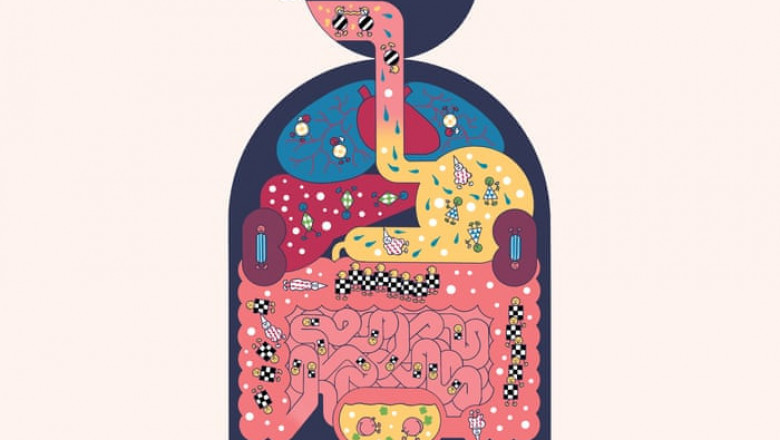 Human Microbiome Market To Surpass US$ 201.5 Billion By 2026 - Coherent Market Insights