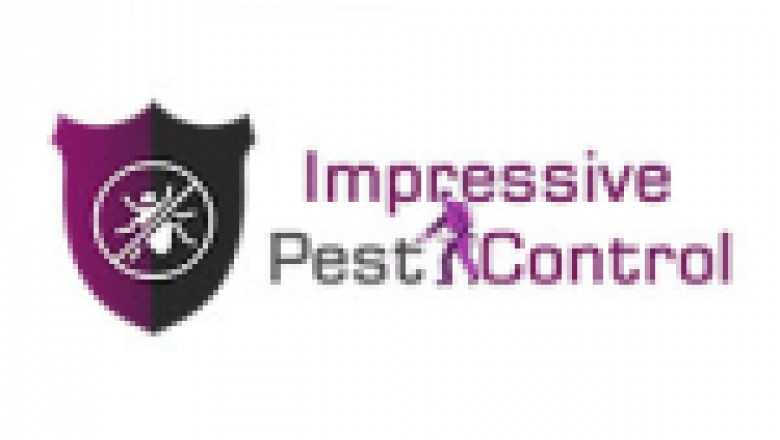Local Pest Control Adelaide