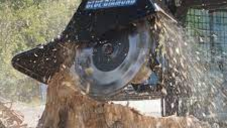 Tree removal Elkhart Tree removal Elkhart