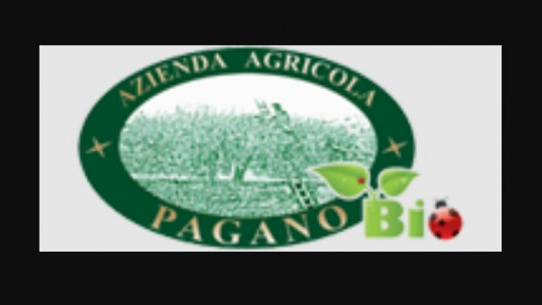 Consuming Your Solution to Very good Health With Extra Virgin Olive Oil