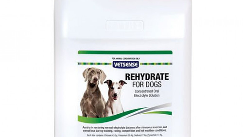 Buy Vetsense Rehydrate Dietary Supplements For Dogs Online - DiscountPetCare