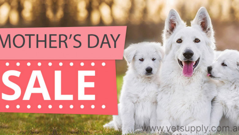 Mother’s Day Sale on Pet Supplies