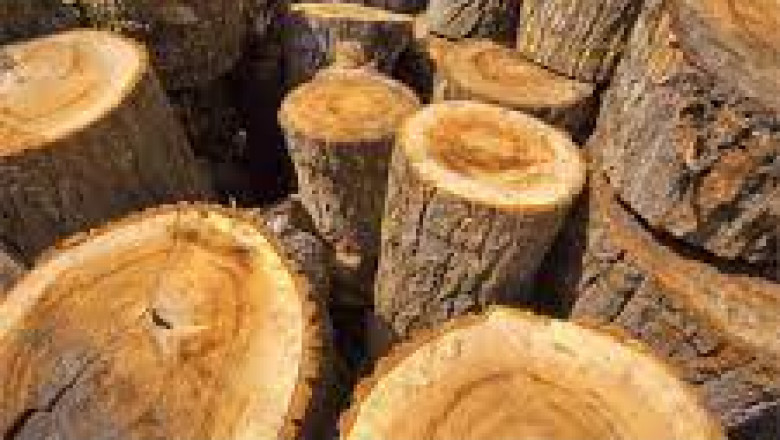 Sydney Firewood - Find Hardwood Firewood for Sale