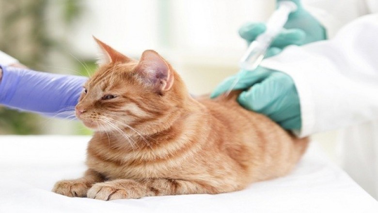 Veterinary Vaccine Market To Surpass US$ 11,627.46 Million By 2027 - Coherent Market Insights