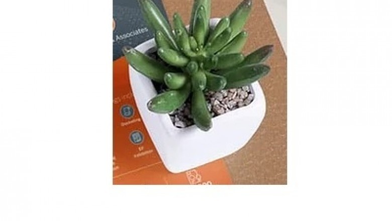 Website Design Company Chicago