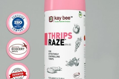 Best herbal-based bio-pesticide for thrips control | Thrips Raze | Kay Bee Bio Organics