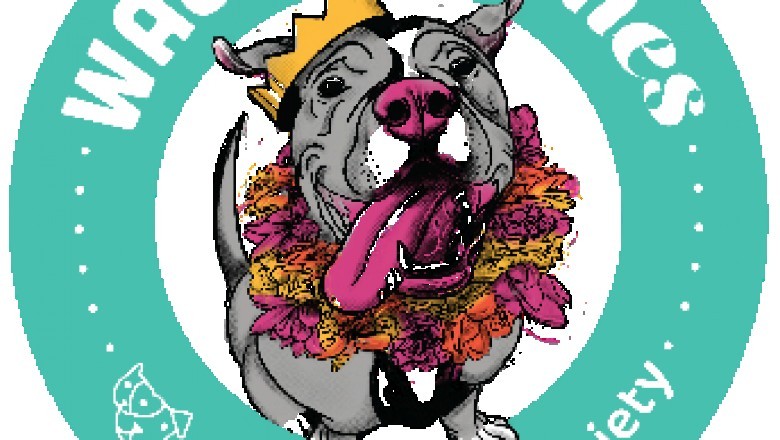 Maui Humane Society: From the Doghouse to the Penthouse