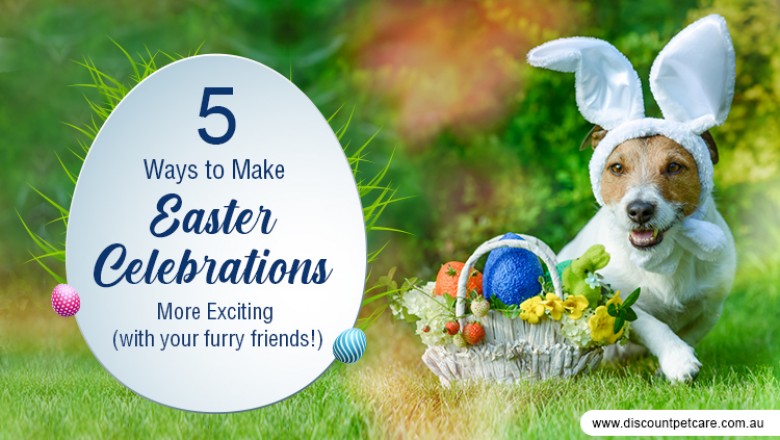 5 Ways to Make Easter Celebrations More Exciting (with your furry friends!) - DiscountPetCare