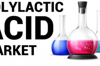 Polylactic Acid Market Market by Fortune Business Insights™ 2028|Fortune Business Insights™