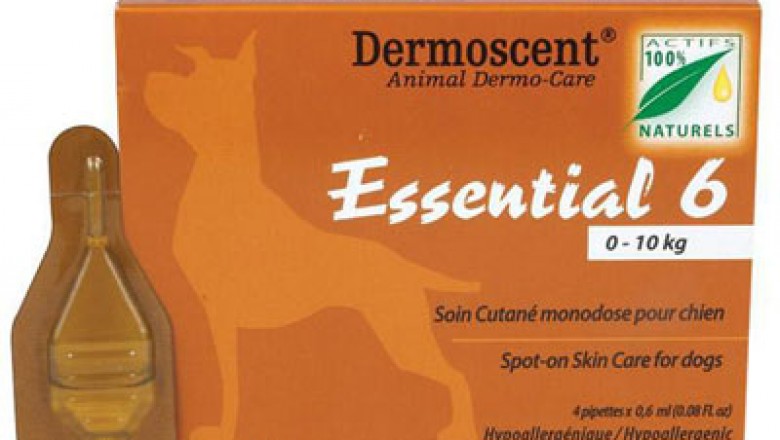 Buy Essential 6 Skin Care Treatment For Dogs Online - DiscountPetCare