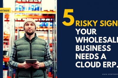 Wholesale Cloud ERP Software in a Flexible Pricing