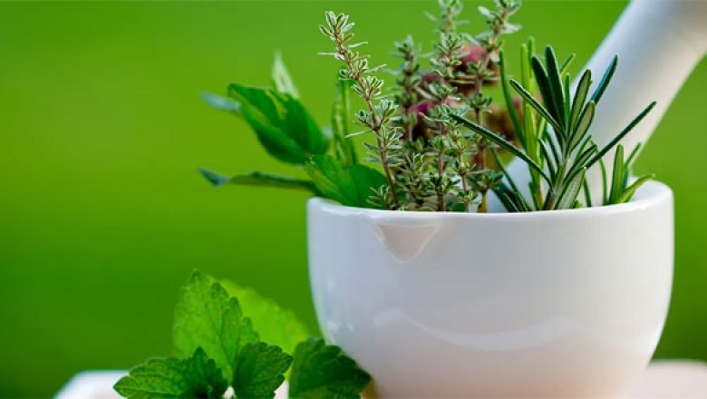 5 Reasons People Are Turning To Herbal Products