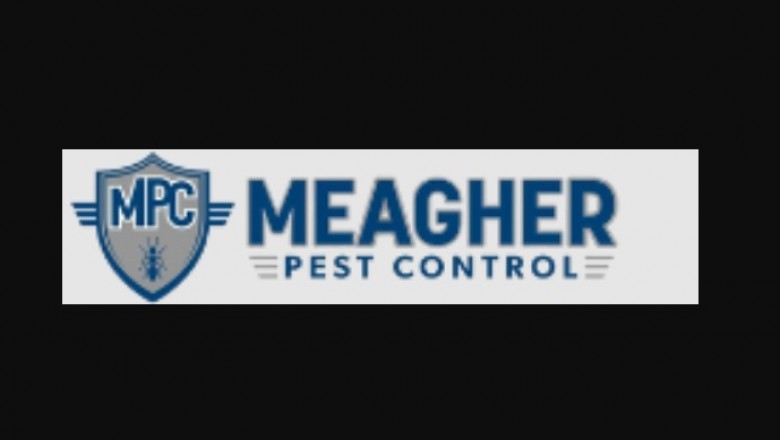 Pest Control for the Home: Straightforward and Efficient Methods