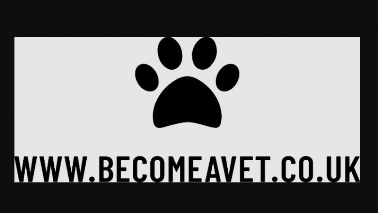 The Qualifications Necessary to Practice Veterinary Medicine