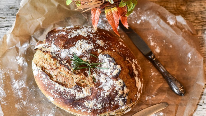 Yeast Market - Global Industry Report, 2030