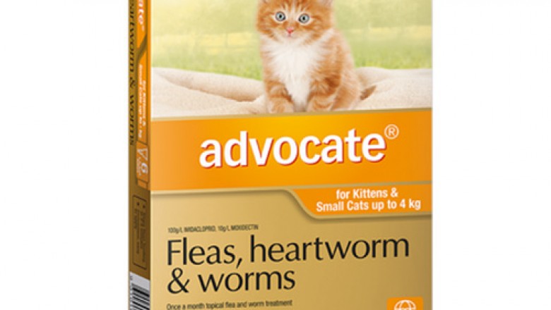 Buy Advocate For Cats and Kittens Online - DiscountPetCare