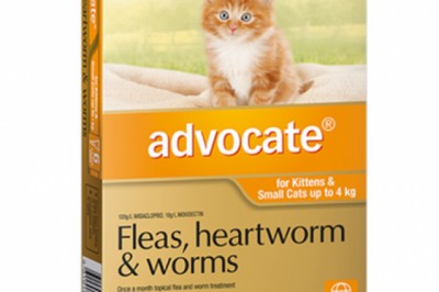 Buy Advocate For Cats and Kittens Online - DiscountPetCare