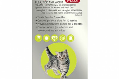 Buy Bravceto Plus Spot-On For Cats Online - DiscountPetCare