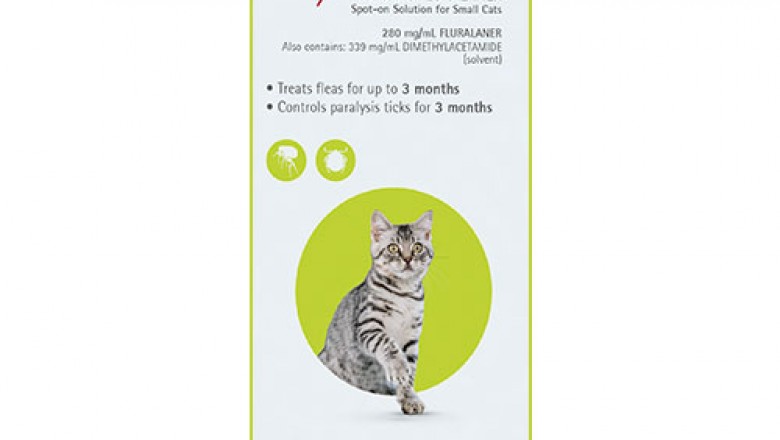 Buy Bravecto Spot-On For Cats Online - DiscountPetCare