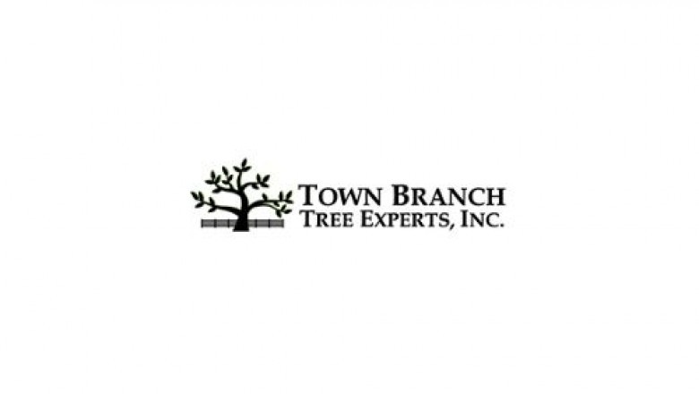 Online best Tree care service in USA at Town Branch Tree Experts