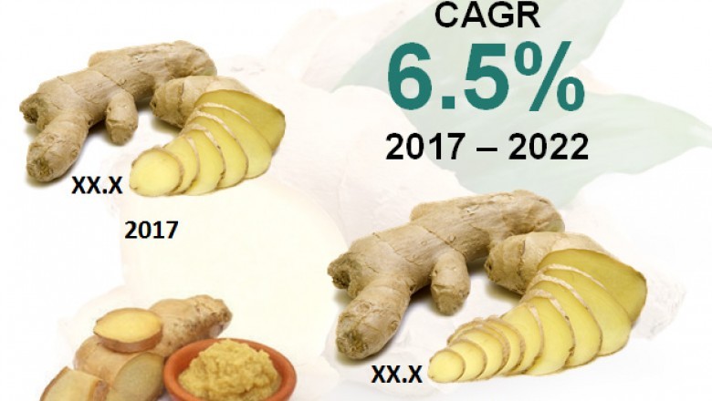 Global Ginger Market to Grow at 6.50% CAGR with Increasing Global Popularity Regarding its Medicinal Benefits