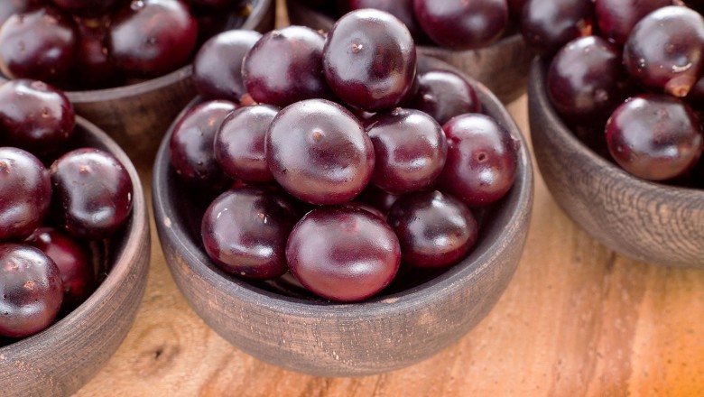 Increasing Demand for Acai Berry Products to Augment the Acai Berry Market Growth