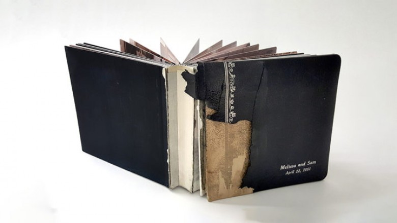 The Dog ate my Wedding Album?