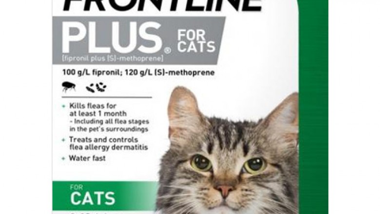 Buy Frontline Plus Monthly Flea Control For Cats Online - DiscountPetCare