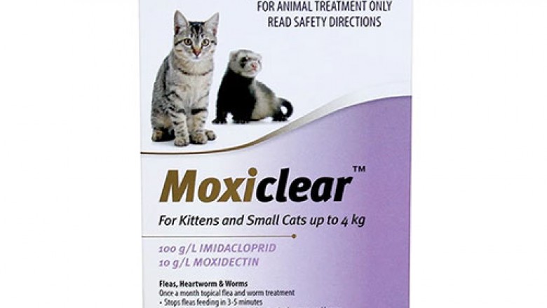 Buy Moxiclear Flea, Worm & Heartworm Prevention For Cats Online -DiscountPetCare