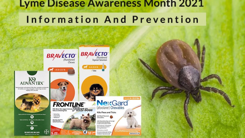 Lyme Disease Awareness Month 2021 | Information And Prevention