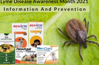 Lyme Disease Awareness Month 2021 | Information And Prevention