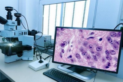 2018-2023 Digital Pathology Market Competitive Landscape, Business Strategy Analysis and Forecast Report