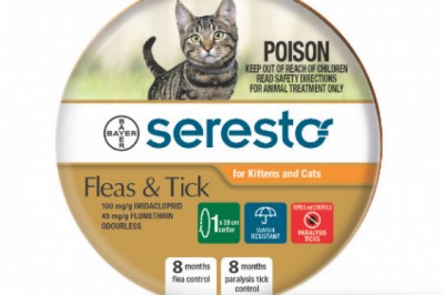Buy Seresto Flea & Paralysis Tick Collar For Cats Online - DiscountPetCare