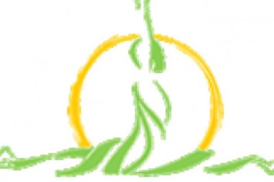 Dhyana- pilates studio dubai
